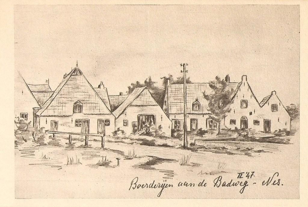 Boerderijen Badweg Nes 1947