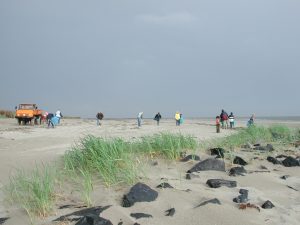 Strandjutters op Ameland