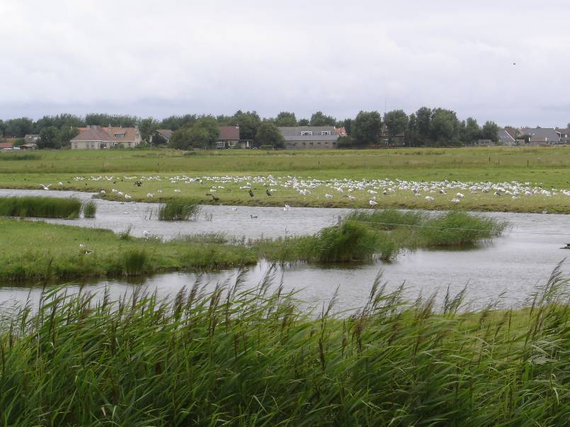 Herschaalde kopie van Afbeelding 461