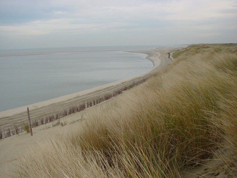 STRAND BALLUM