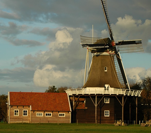 molen de verwachting hollum ameland