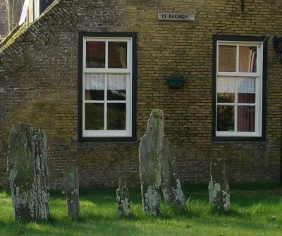 kakebienen in Hollum