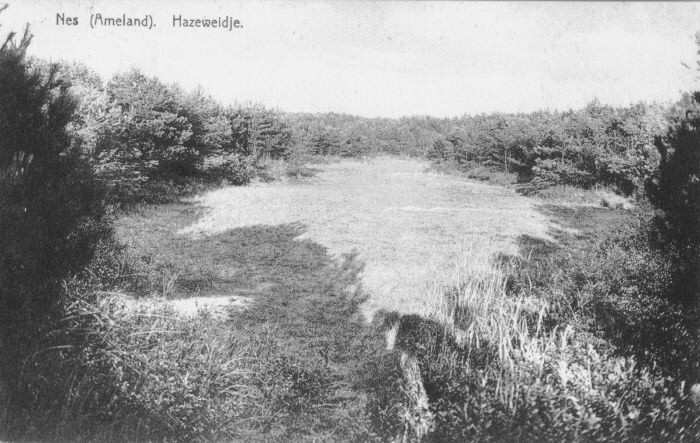 hazeweidje 1928