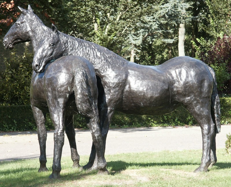 paarden bij het gemeentehuis van ameland